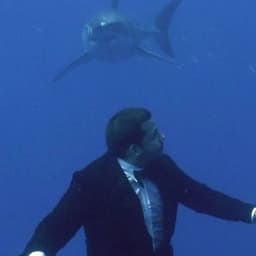 deleMarco