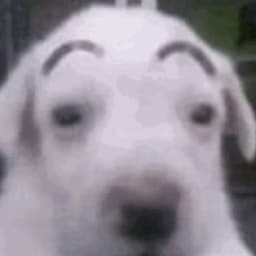 OOPEEWOP