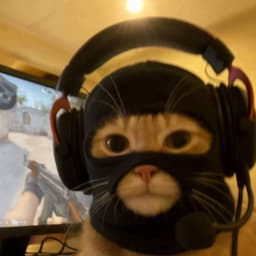 ykywykysok