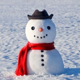 raesjolly