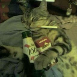 catluvr