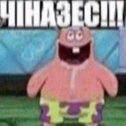 mem_mer