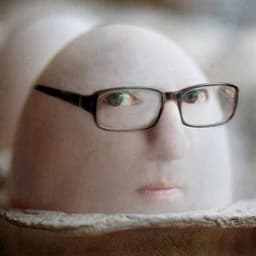 Holopiko