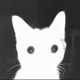 NeXoZ_YT