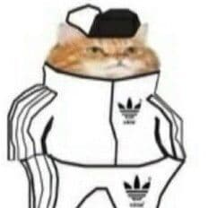 _R0n4n_