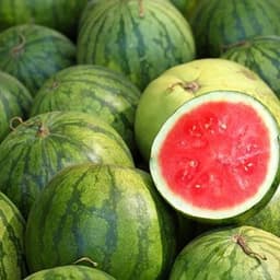 melonovykral