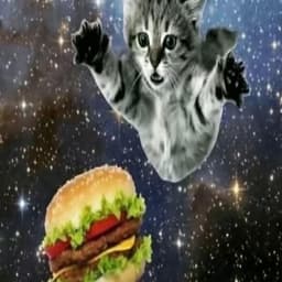 mqqxf