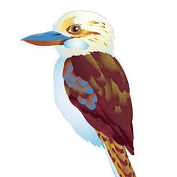 Kakadu