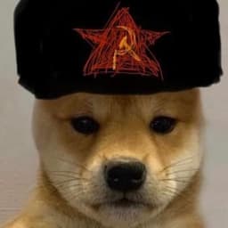 suomityypi