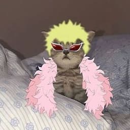 piNkymeister