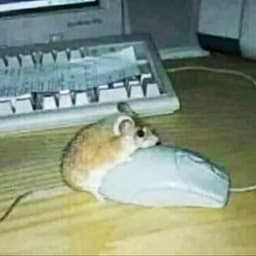 PabloKapelo