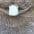 natnel3383