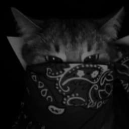 ketzuxi