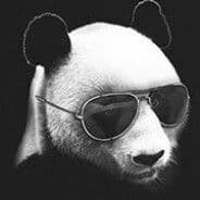 NOTkaktus