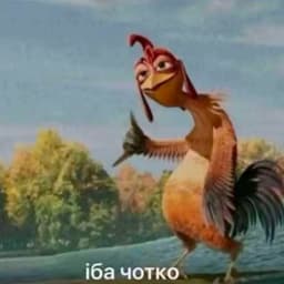 diko-777