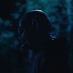merix7