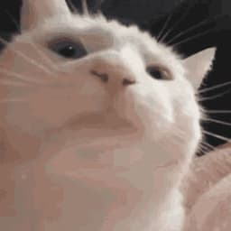 Kat1nukaS