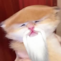 _cbtl_