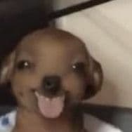 khalilJota
