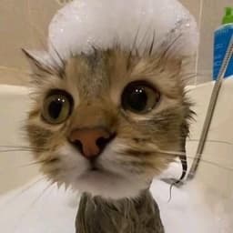 mapyto
