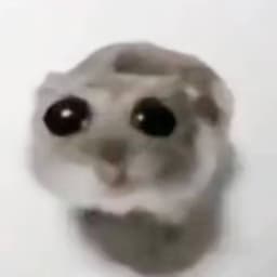 mef1n