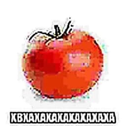 R0BL0XAlM
