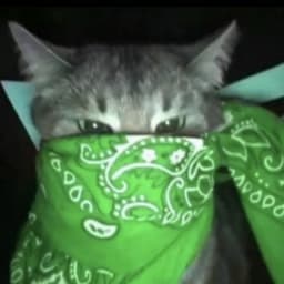 2l2pAw