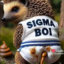 ska4at1