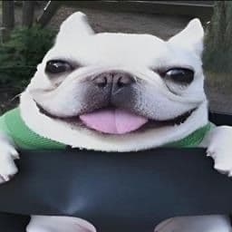 wonmble