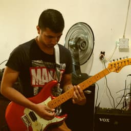 FenixS1307