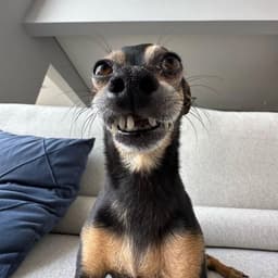 HuNMoto