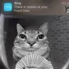 Ensio666