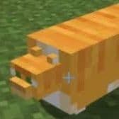 Nyoooom