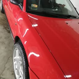 adanm999155