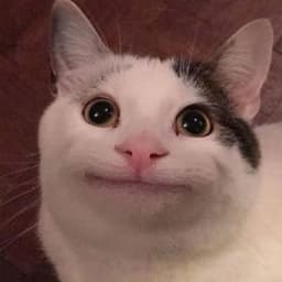 SikeSaki