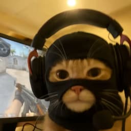 NickoHaze
