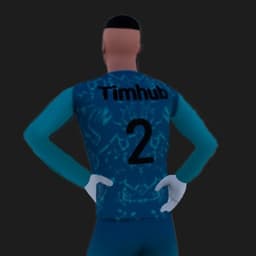 Timhub