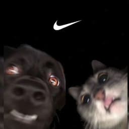 welel