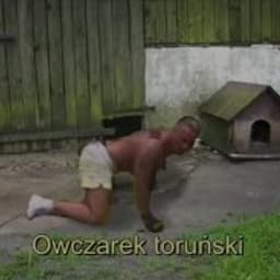 NaxikOOO