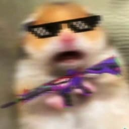 zzRewind