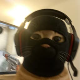 FoxcNNN
