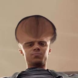 Cryptikk