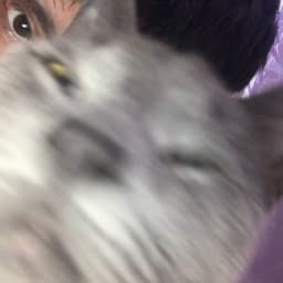BLIN_KAK_TAK