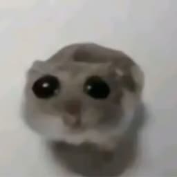 Papa_Andrejs
