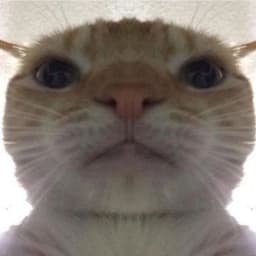 Canhoto0