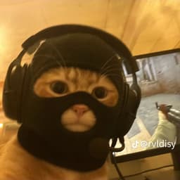 zezy