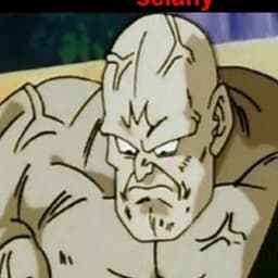 Codixer
