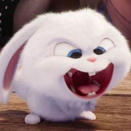snejoooik