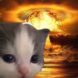 notasha