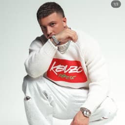 Thebigson